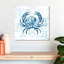 Crabe Brampt Blue Marble Coast-109357745