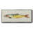 Fanciful Fish I- Framed Canvas-612781184