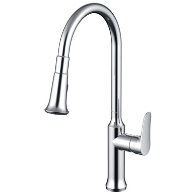 Daweier Pull Out Kitchen Faucet