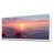 White Floater Framed