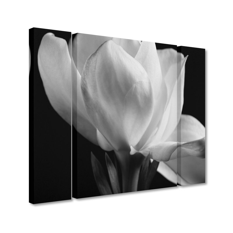 « gardenia », ensemble de 3 reproductions de photos sur toiles tendues, H 30 po x l 41 po x P 2 po
