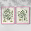 Reproduction encadrée de qualité supérieure Buchoz Tropicals IX - prête à être accrochée-213630776-213630779