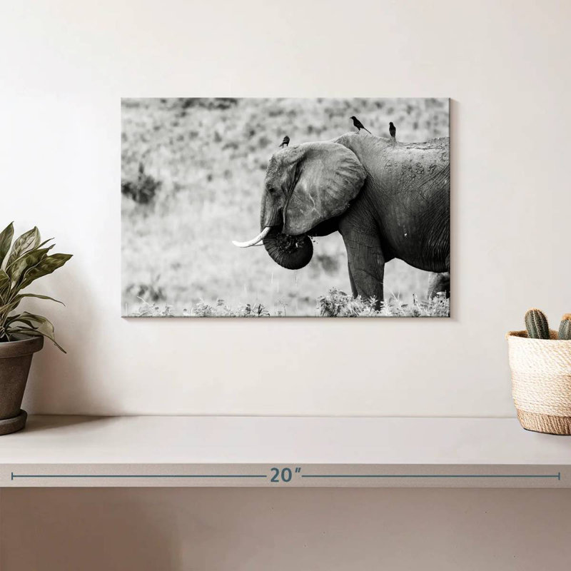 Elephant And Friends, 8" H x 12" W