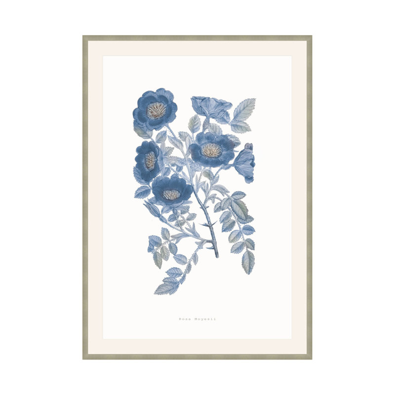 Bouquet Blue 5 Print by Studio L57 Nouvelle, 35.75" H x 25.75" W