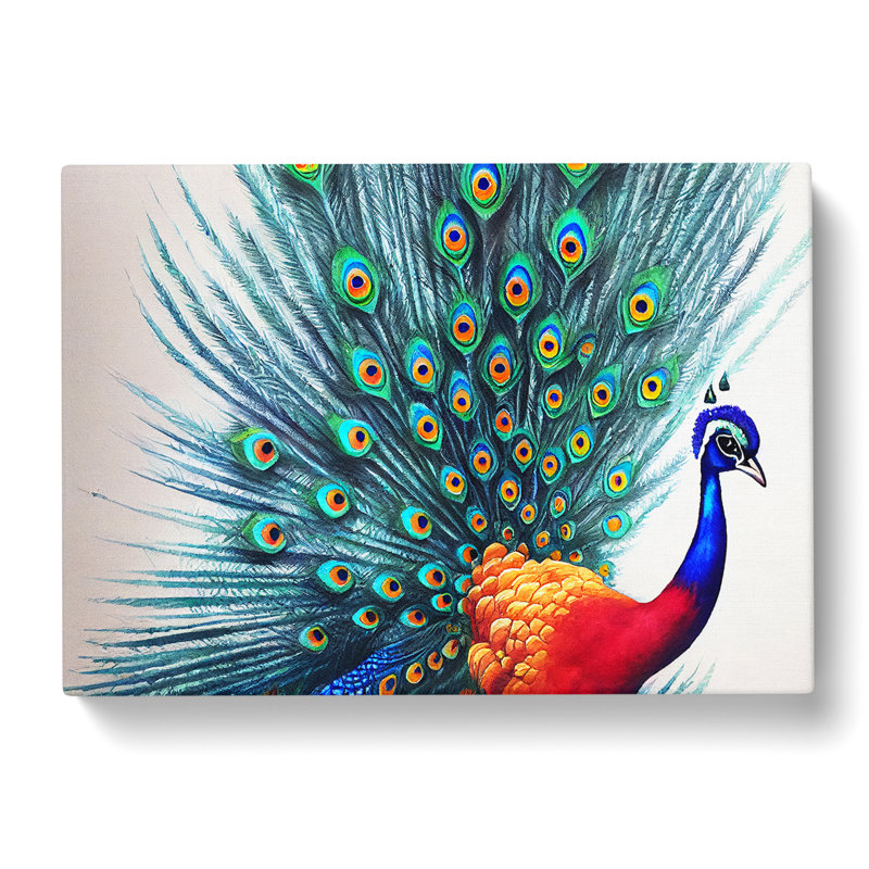 Watercolour Peacock Art - Wrapped Canvas Print, 35cm H x 50cm W x 3cm D