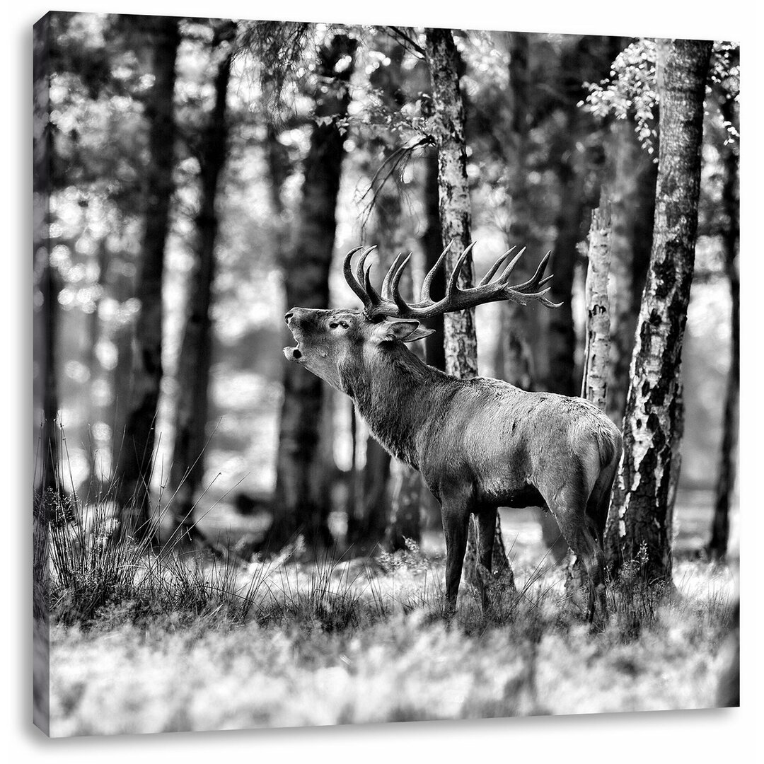 Leinwandbild Hirsch im Wald