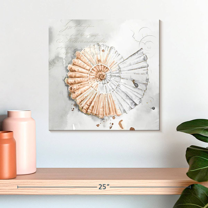 Aletra Blush Shell II