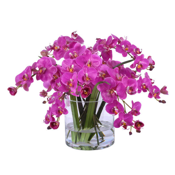 World Menagerie Orchid Arrangement in Vase & Reviews | Wayfair