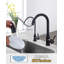 ARCORA Stainless Steel Pull-Down Kitchen Faucet and Water Filter Faucet Combo-101957430
