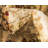 Niles Oriental Indoor Rug-19394665