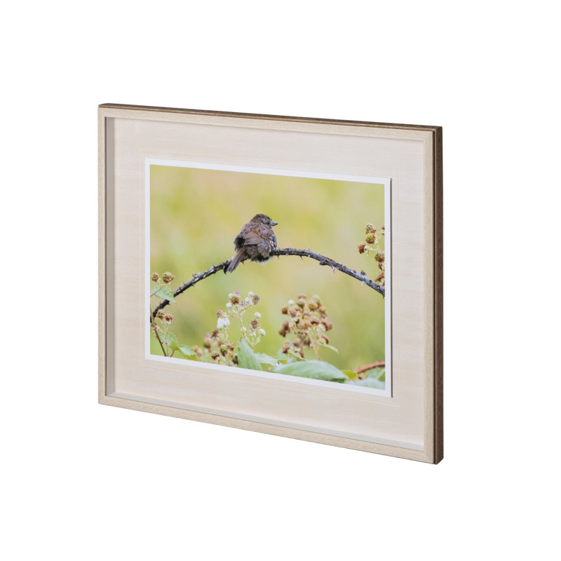 sans titre par Nancy Crowell, reproduction d'art encadrée sous verre, Avian I