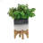 Planter On Stand