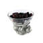 Woodland Creatures Glass Dessert Bowl