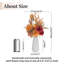 Arrangement in Vase