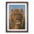 Walnut Framed
