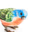 Hand Painted Animals Decorative Object