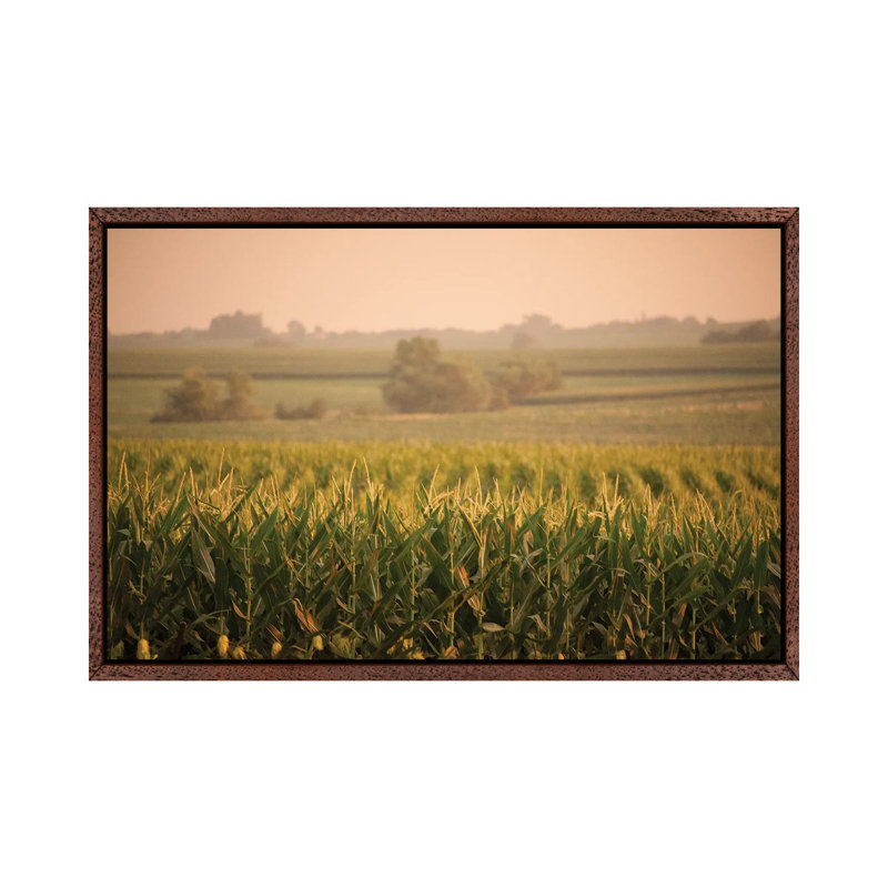 A Non-Irrigated Field Of Corn Near Bennet, Nebraska by Joel Sartore - Gallery-Wrapped Canvas Giclée on Canvas