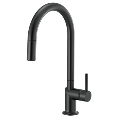 Odin® Pull-Down Faucet with Arc Spout