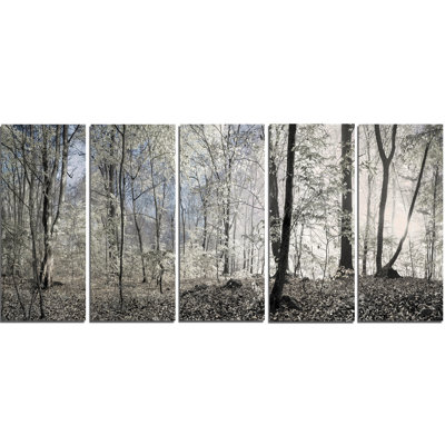 " Dark Morning In Forest Panorama " 5 - Pieces