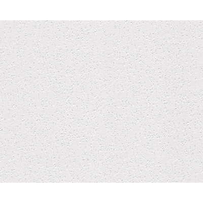 Rouleau de papier peint L 33 pi x l 21 po Solid Wall