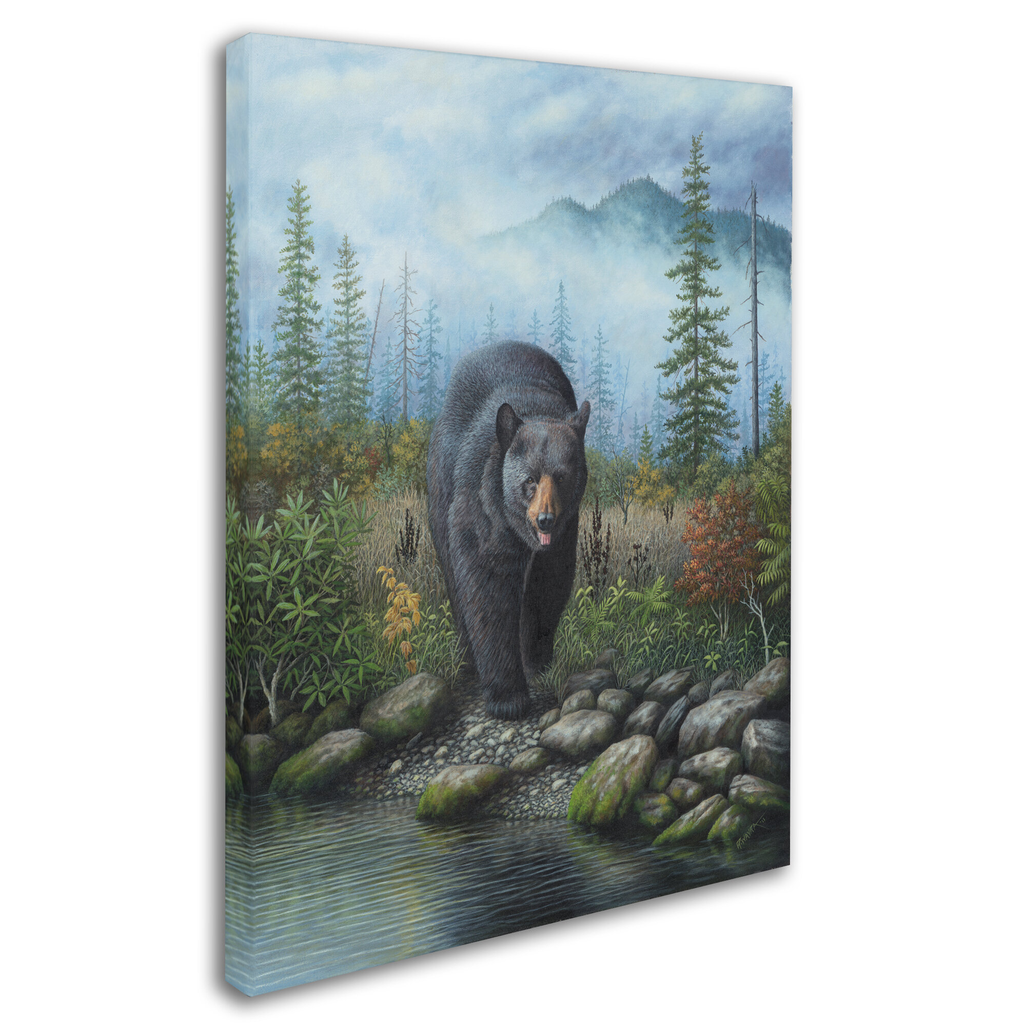 Trademark Art Smoky Mountain Black Bear On Canvas by Robert Wavra Print ...