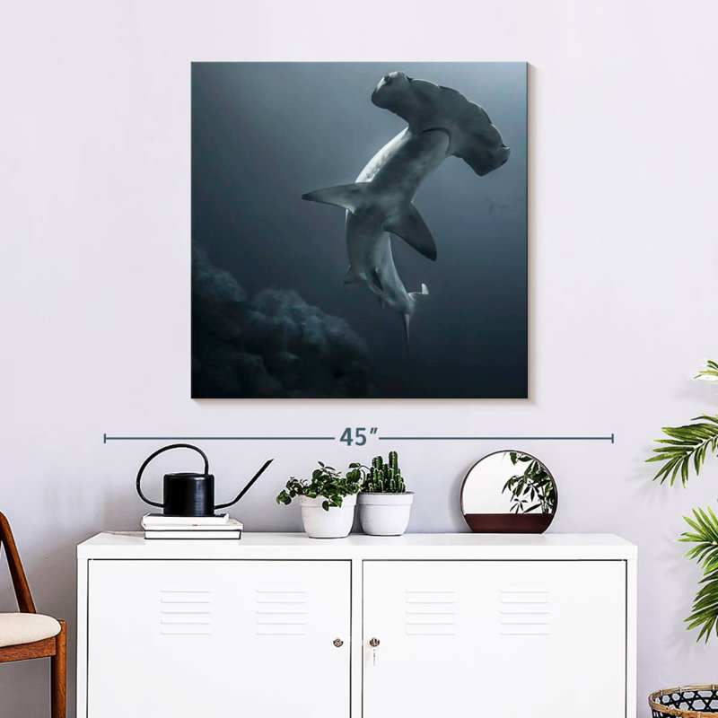 Requin-marteau Brampt, H 30 po x l 30 po