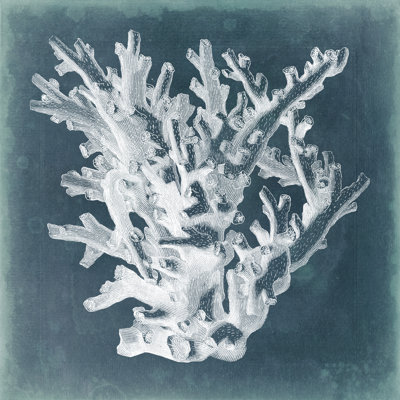 Azure Coral I by Vision Studio - Wrapped Canvas Painting