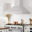 48" Professional 700 CFM Ducted Wall Mount Range Hood in Stainless Steel