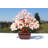 Ahriel 4'' Faux Bonsai Tree in Stone Pot