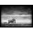 Wildlife 'Elephant' Print by Parvez Taj-14233163-24267814