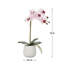 Faux orchidée Phalaenopsis-1623614986