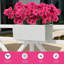 Arrangement