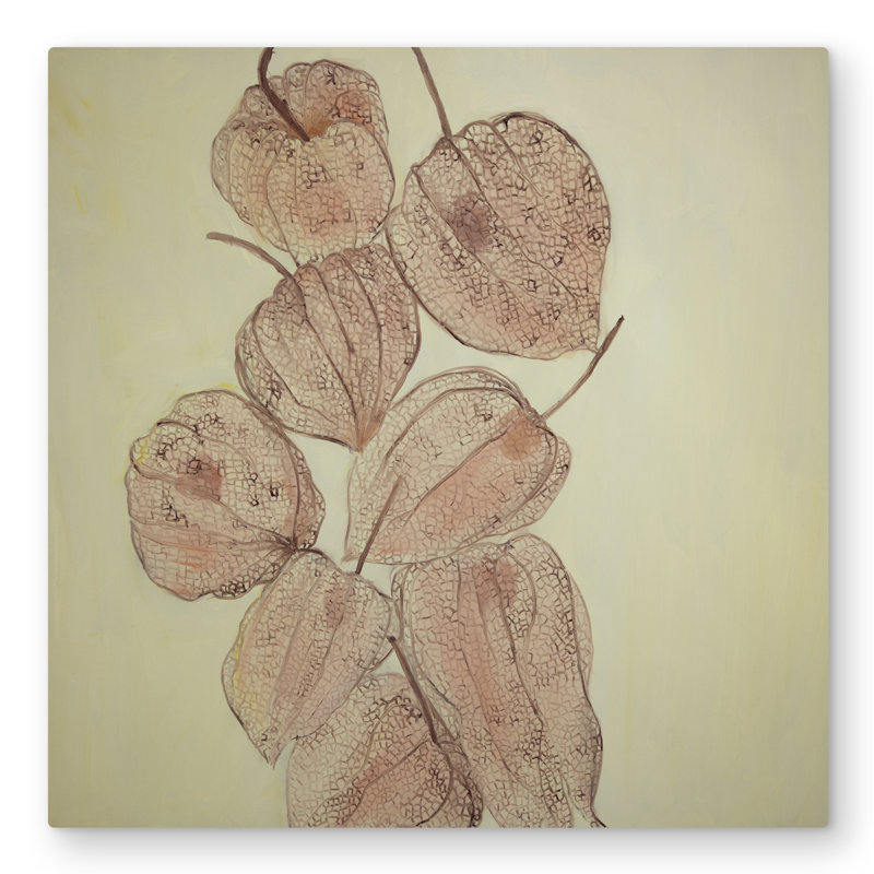 Closed Ground Cherries - Gastronomy Leaves Metal Print Decor