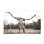  Art mural sur toile Nathan Larson-101101715
