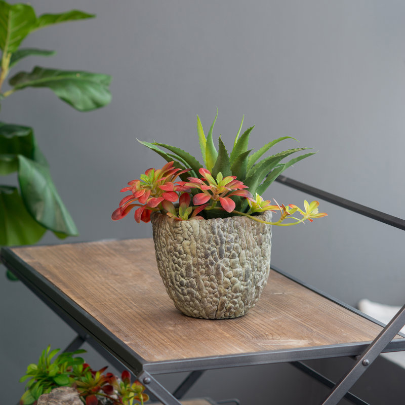 Pot à fleurs en ciment Berube, H 6,1 po x l 6,5 po x P 6,5 po