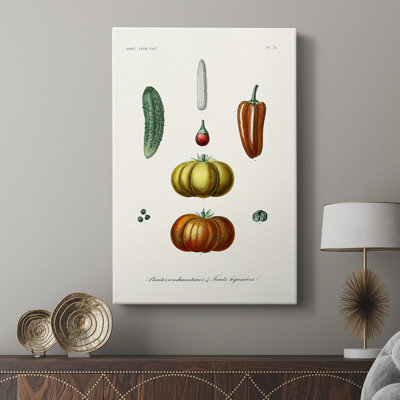 Fruit & Vegetable Varieties III -Gallery Wrapped Cavas