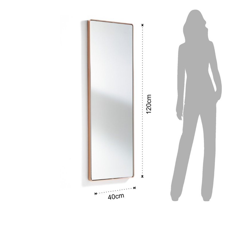 Duvall Metal Flat Wall Mirror