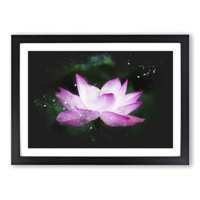 Pink Water Lily Flower Vol.2 - Picture Frame Graphic Art