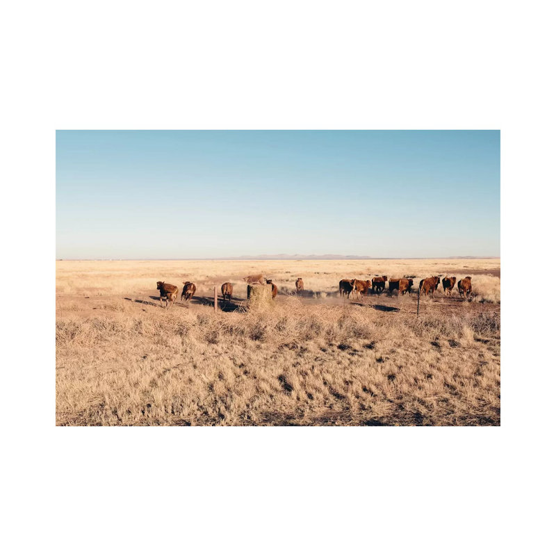 Stampede 1 Piece Wrapped Canvas Wall Art, 20.32 cm H x 30.48 cm W
