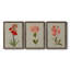 «Botanical Array VII», ensemble de 3 reproductions d'art sur toile-593053728-593053791
