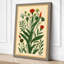 Flowering Plant Study Botanical - Wrapped Canvas-993088552-993088574