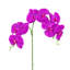 Tige de fleur d'orchidée artificielle-861308354