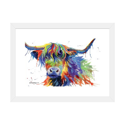 " Highland Cow Color " by Sarah Stribbling