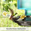 Mangeoires de colibri Byrce