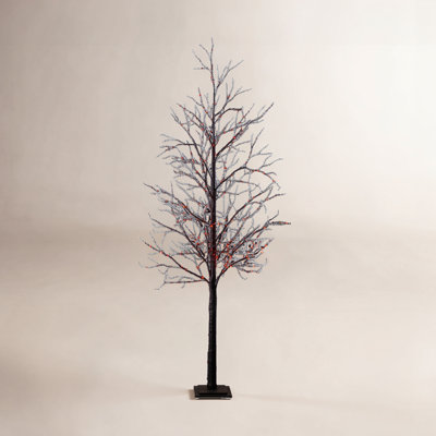 8' Pre-Lit Halloween Black Twig Tree