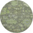 Fern