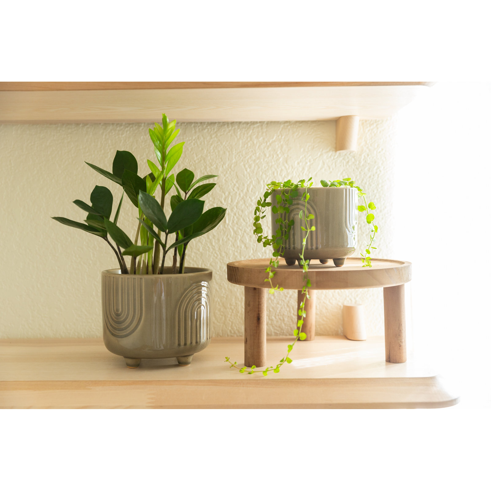 Martha 5" Ceramic Pot Planter, Olive Green