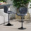 Higginsport Swivel Upholstered Adjustable Height Counter Stool with Metal Frame