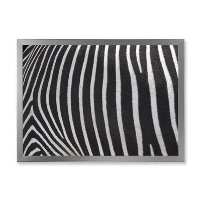 " Detail Of Black And White Zebra Lines IV "