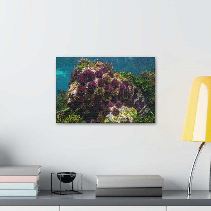 No Frame Print on Canvas, 12cm H x 18cm W